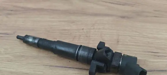BMW 3 E46 Fuel injector 7785984