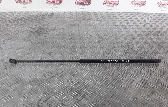 Volkswagen PASSAT B5 Front bonnet/hood damper/strut GS601143281 412018