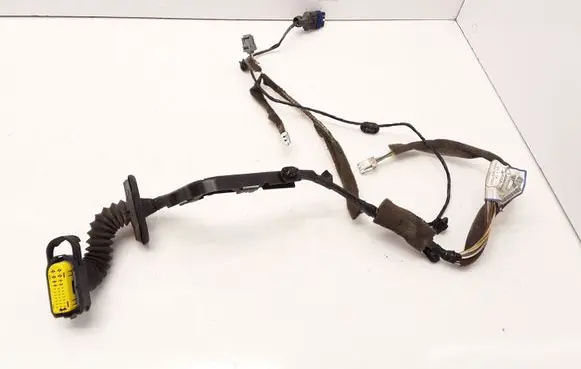 Rear door wiring loom