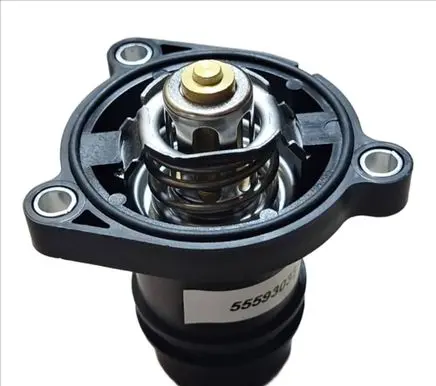Thermostat/thermostat housing