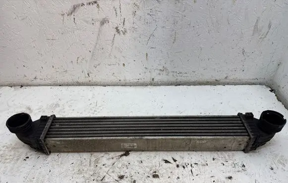 Mercedes-Benz B W245 Intercooler radiator A1695000000