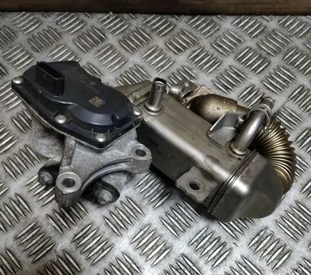 Renault Trafic III (X82) EGR valve cooler H82011068965