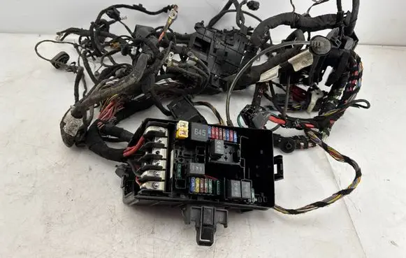 Engine installation wiring loom