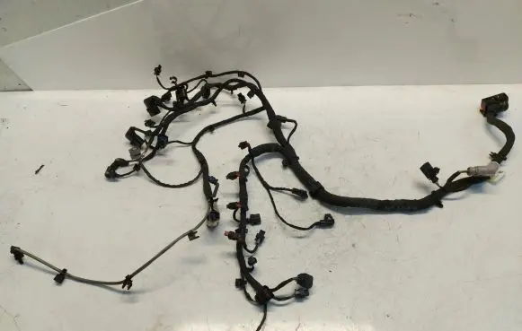Engine installation wiring loom