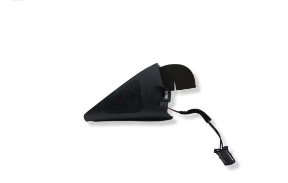 Volkswagen Tiguan Front door speaker 