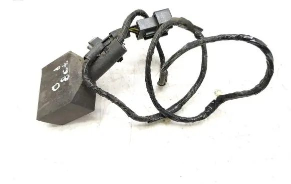 Front door wiring loom
