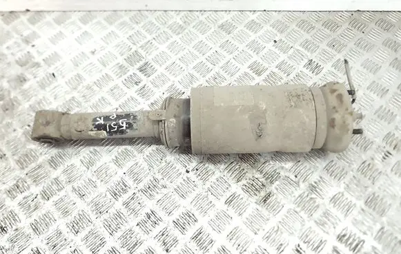 Land Rover Range Rover Sport L320 Air suspension front shock absorber 22241483
