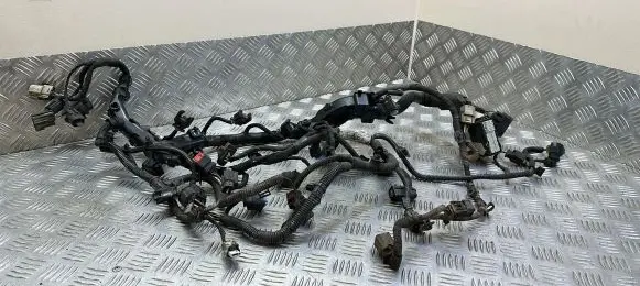 Ford Mondeo MK V Engine installation wiring loom DG9T14A099AGB