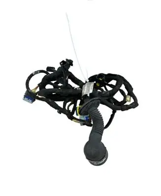 Citroen C5 Front door wiring loom 9684766280 120508 R0E49