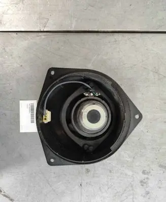 Rear door speaker