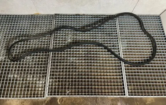 BMW 5 F10 F11 Trunk rubber seal (body)