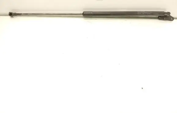 Front bonnet/hood damper/strut