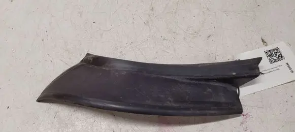 Rear/tail light trim molding