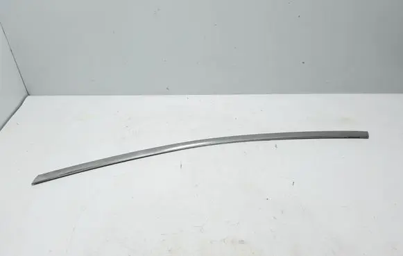 Chrysler Pacifica Front door glass trim molding 68228015AC