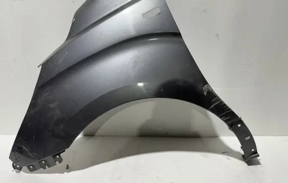 Hyundai H-1, Starex, Satellite Fender