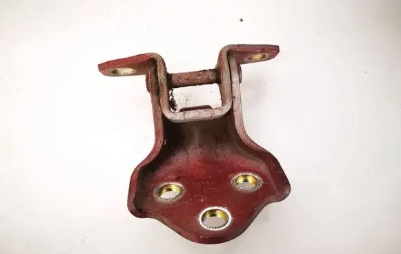 Hyundai Santa Fe Rear door lower hinge 