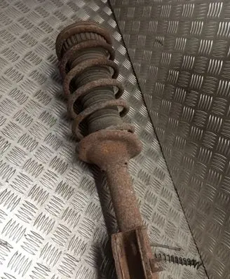 Land Rover Freelander Rear shock absorber with coil spring 