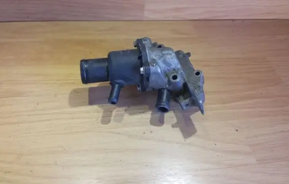 Thermostat/thermostat housing