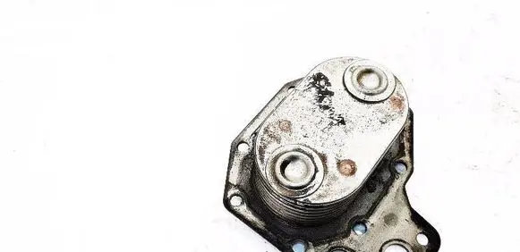 Mercedes-Benz Vario Engine oil radiator 6869440422