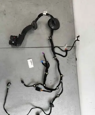 Ram 1500 Front door wiring loom 68310305ac