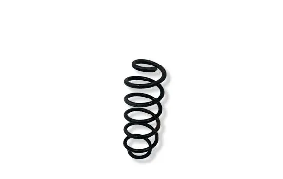 Volkswagen Golf VI Rear coil spring 