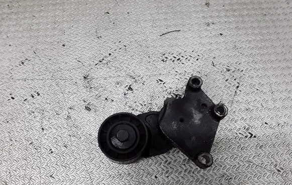 Peugeot 206 Generator/alternator belt tensioner TF049