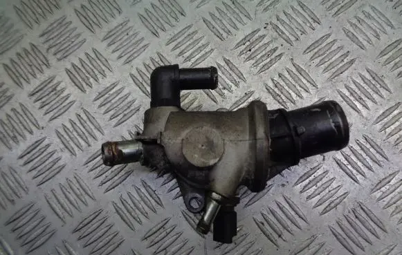 Thermostat/thermostat housing