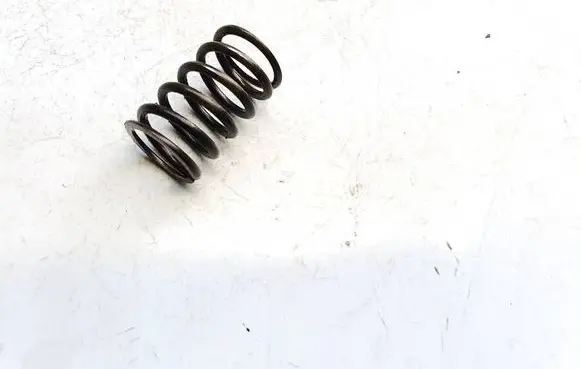Volkswagen PASSAT B6 Valve spring 