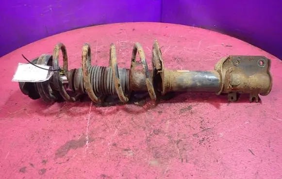 Fiat Idea Front shock absorber with coil spring 334691