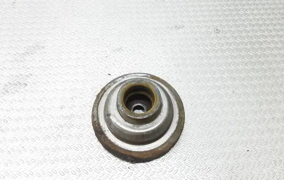 Coil spring mount