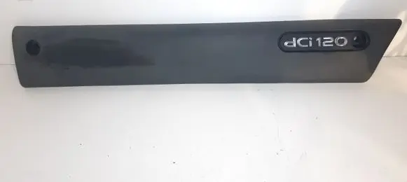 Front door trim (molding)