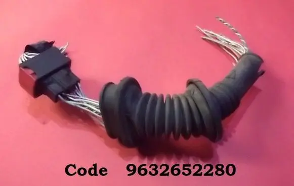 Front door wiring loom