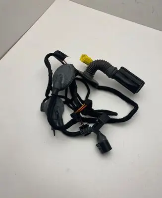 Front door wiring loom