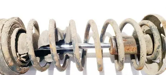 Rear coil spring