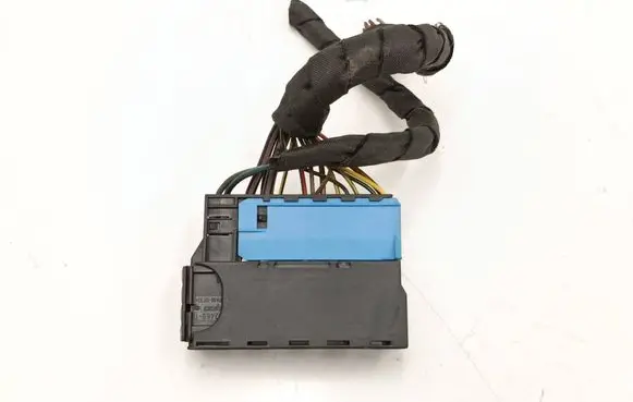 BMW X1 E84 Front door wiring loom 6925547 6925543