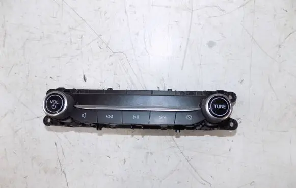 Ford Kuga III Head unit multimedia control LJ6T-18K811-CB