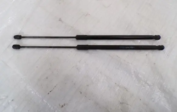 Tailgate strut