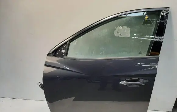 Hyundai Tucson IV NX4 Front door