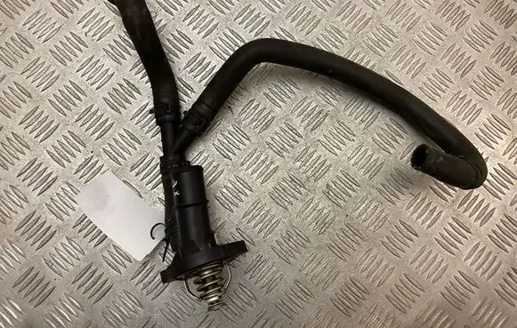 Thermostat/thermostat housing