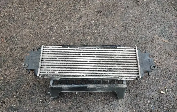 Renault Trafic II (X83) Intercooler radiator 7700312903 91166035