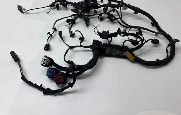 Porsche Cayenne (9Y0 9Y3) Engine installation wiring loom 06M971595BQ 779601608AA 2514191847