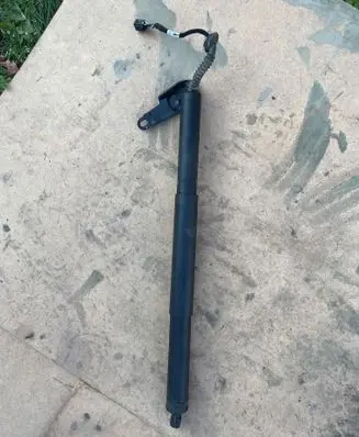Tailgate strut