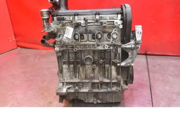 Skoda Octavia Mk2 (1Z) Engine BGU