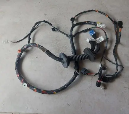 Front door wiring loom