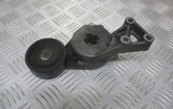 Skoda Octavia Mk1 (1U) Alternator belt tensioner pulley 