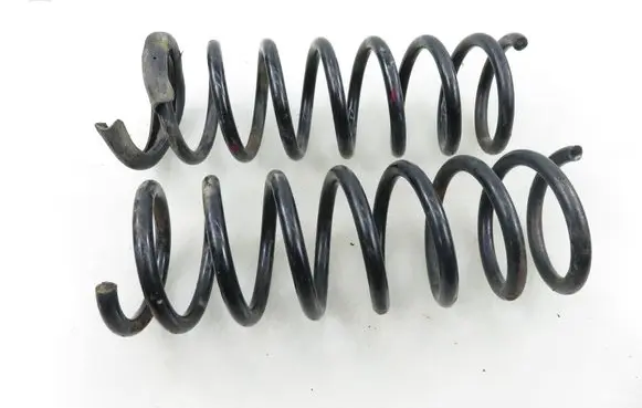 Renault Scenic I Rear coil spring 