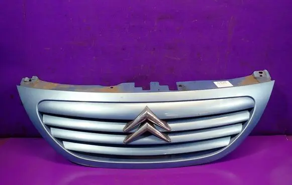 Citroen C3 Front grill 