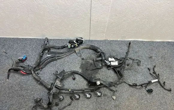 Engine installation wiring loom