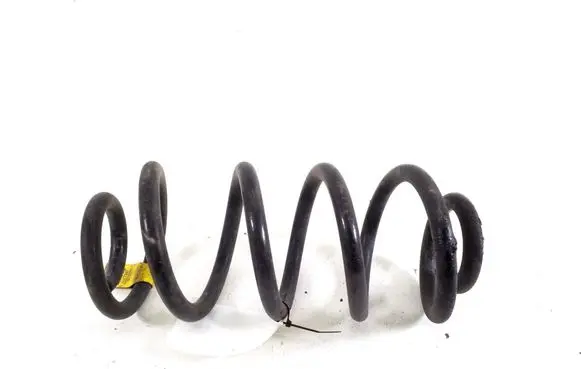 Opel Ampera- E Rear coil spring 42477247