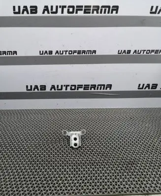 Renault Kadjar Front door upper hinge
